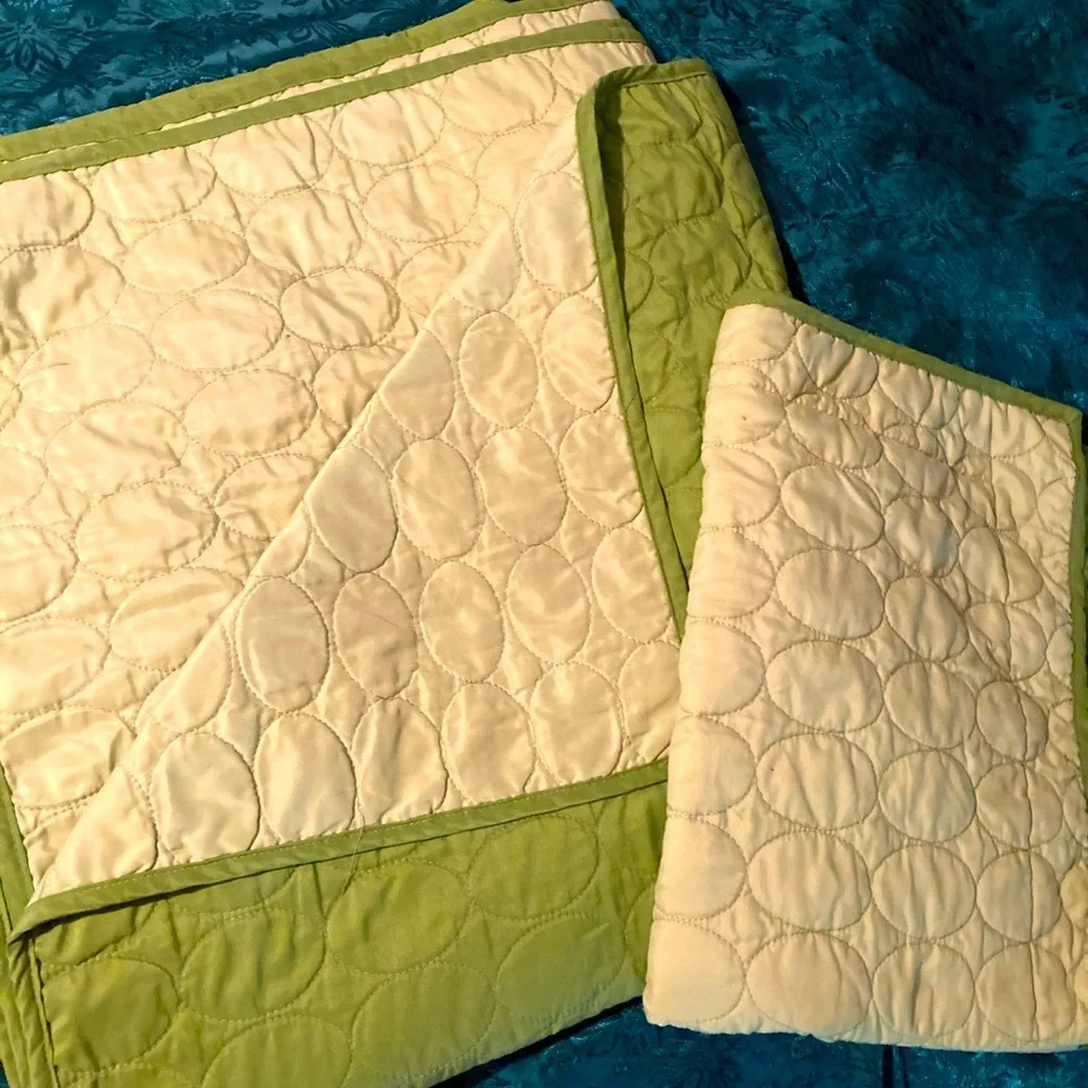 Twin quilt w/ pillow sham - Picture 1 of 1